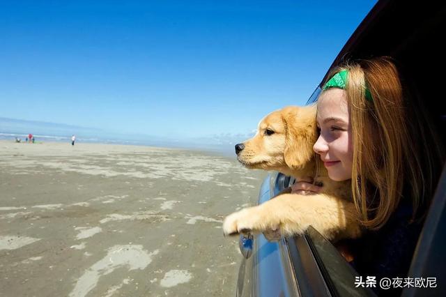 最适合在自驾游途中听的十首歌，你听过几首？快点来打卡！！