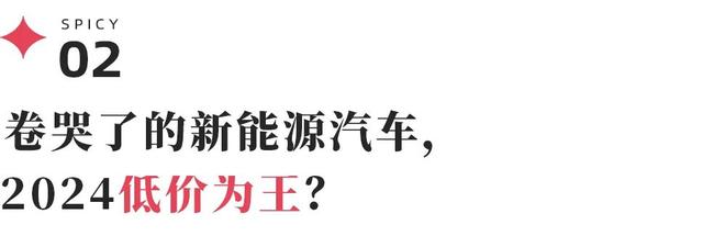 新能源汽车的2024：地狱开局，如何杀出一个春天？