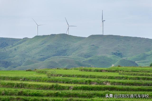 新能源汽车行业进入超速赛道，我国为什么大力发展新能源汽车？