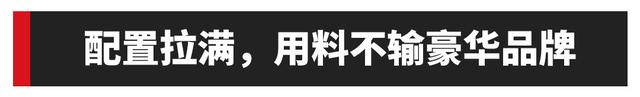 家用省心，全新一代星途凌云实拍，性价比无敌？