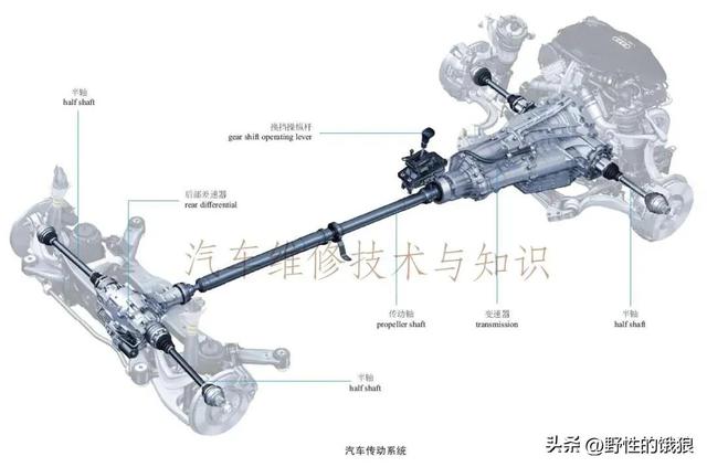 史上最全轿车解剖结构分析图