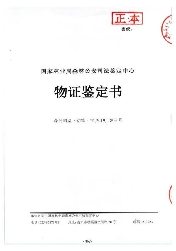 非法猎捕23只獐子！判刑+赔偿野生动物资源损失