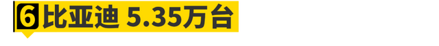 2023年，这些“国产车”在国外卖爆了！