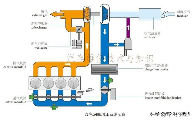 史上最全轿车解剖结构分析图