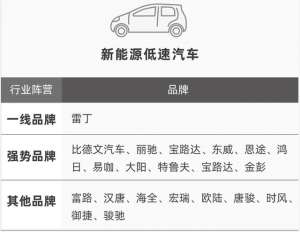 雷丁电动汽车能上牌吗(老年代步车应该选哪个品牌？行内人详细分析给你看，不用再买错了)