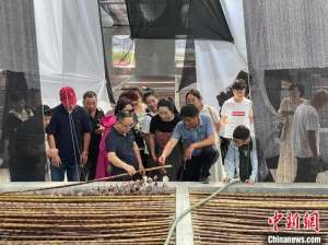 海边吹起“最炫民族风” 浙江苍南民族村因地制宜谋发展