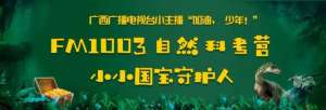 南宁汽车报价(河池550元、南宁柳州160元各地检车价格不一样？记者调查发现)