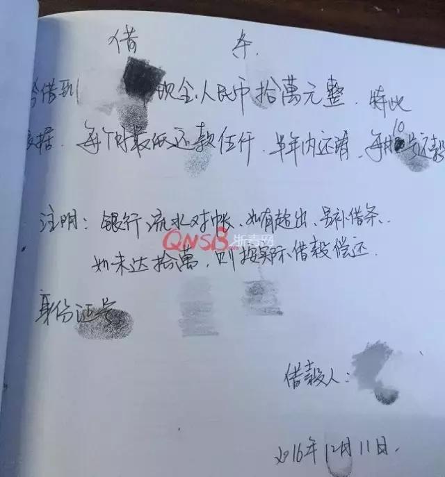 小龙虾真是最没有尊严的入侵物种了 TOP神评榜