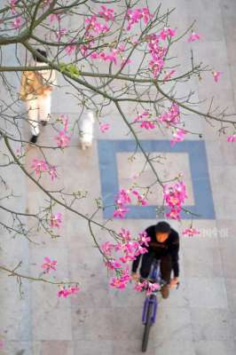 贺州到柳州汽车时刻表(最低-6℃4次冷空气要来，雨雪冰冻偏重广西春运天气预测→)