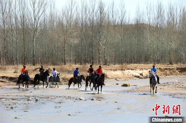 通讯：长城古道上的网红“打卡地”：特别的马友，特别的杏林花海