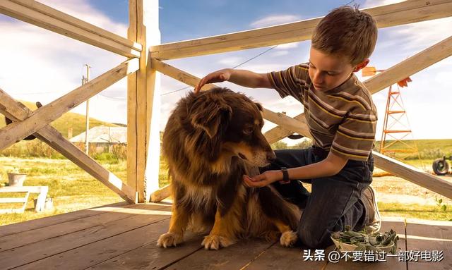 40部来自全球各种文化的优秀儿童电影，很多也适合父母一起观看。