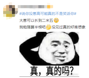 说“你算哪根葱？”可能真不是小看你