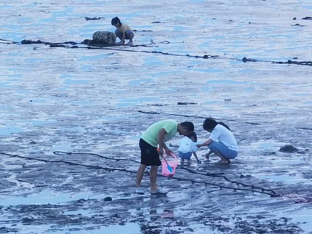 晋江塘东村的如意沙堤（即触角沙滩）