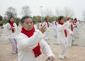 武林中(武林述真Ⅰ以身为拳，里旋含裹劲，㧟了一下)