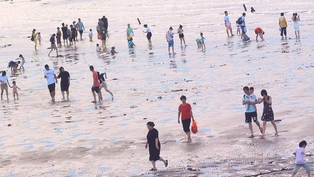 晋江塘东村的如意沙堤（即触角沙滩）