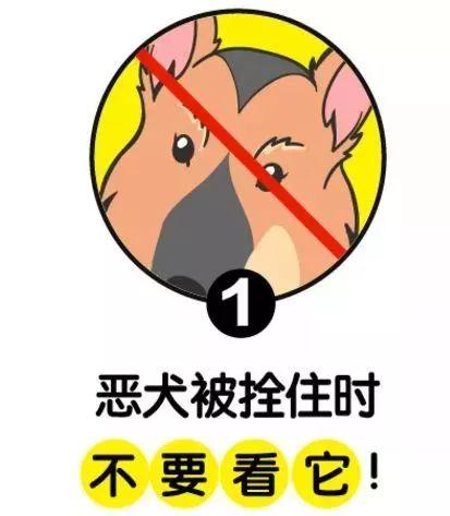 恶犬街头咬伤21人，最小的才3岁！记住这几点能保命