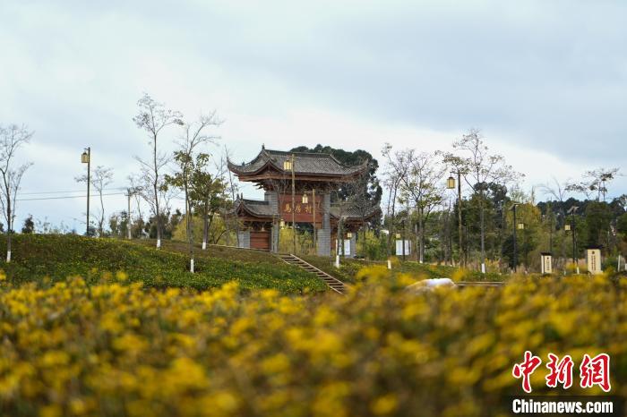 （神州写真）服务升级业态成长 旅居渐成中国人生活新潮流