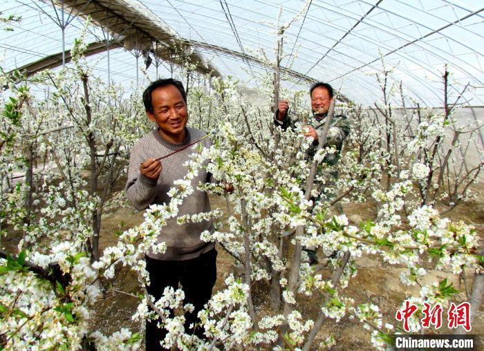 甘肃沙漠边缘小城：“农业新业态”破解资源型缺水之困