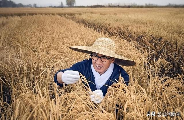 54岁周杰近况：父母双亡太心酸，无戏可拍，跑到乡下种高端大米