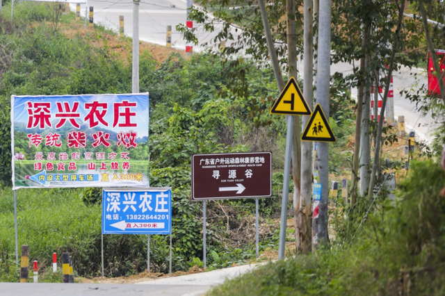 从“空心”村变成“网红”地，实现华丽蜕变的武器是.....