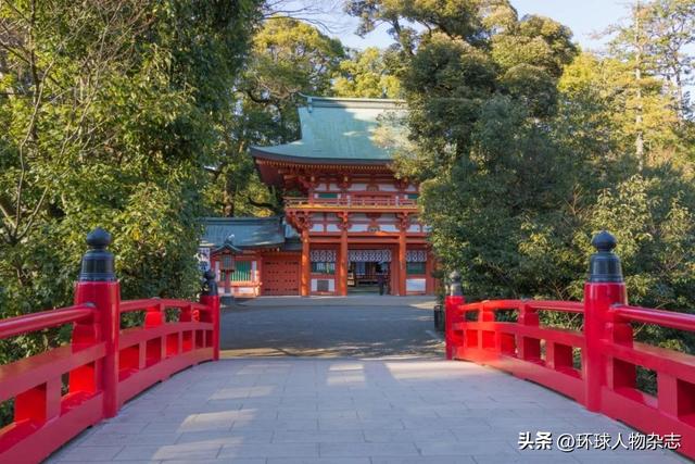 作妖女主播：家住神社，门外狐狸洞，号召“吃日本鱼打败中国”