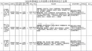 女主播米娜 下载(定了枣庄市薛城区招聘19名小学教师)