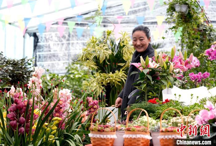 西藏拉萨：藏历新年临近 市民花市选年货